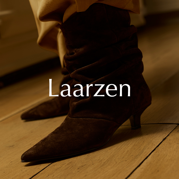 Dames schoenen enkellaarsjes laarzen