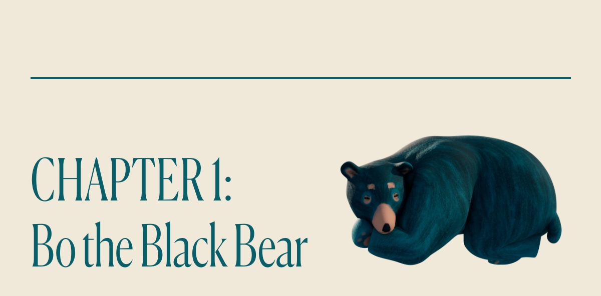 Chapter 1: Bo the Black Bear