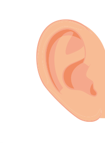 Seiten zum Hören, Spüren, Beissen