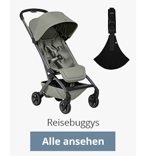 Reisebuggys