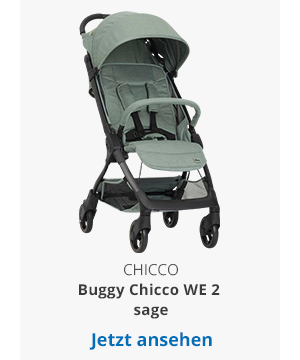 Chicco Buggy Chicco WE 2 sage