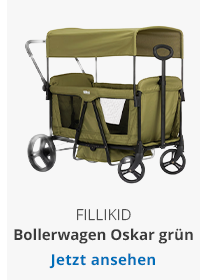 Fillikid Bollerwagen Oskar grün