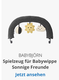 Spielzeug für Babywippe
