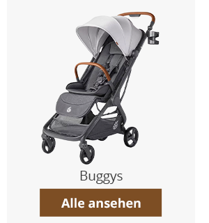Alle Buggys ansehen
