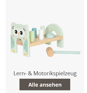 Lern- & Motorikspielzeug