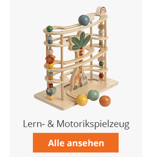 Lern- & Motorikspielzeug