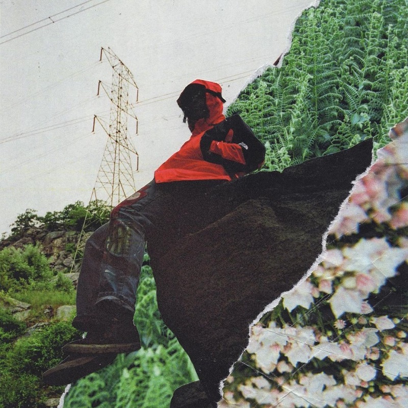 TNF