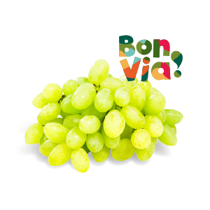 produkt
