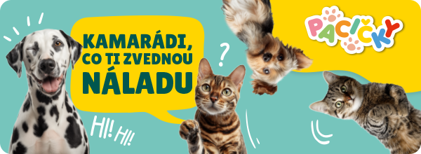 Banner: Pacičky v Bille