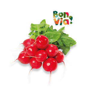 produkt