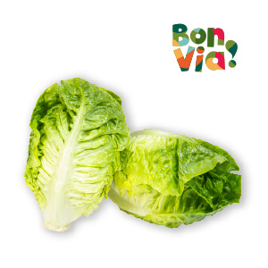 produkt