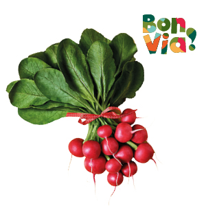 produkt