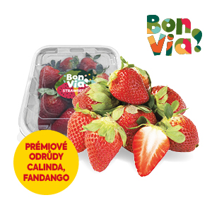 produkt