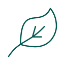 Obrázek: čerstvost pokrmů