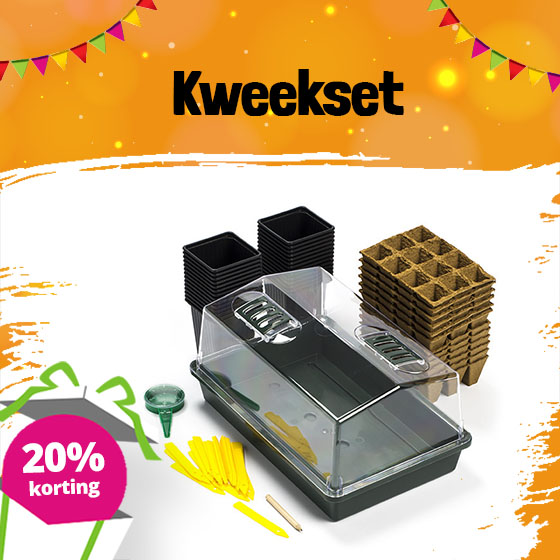 kweekset