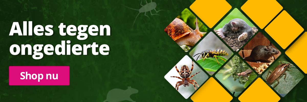 Ruim assortiment aan ongedierte bestrijding