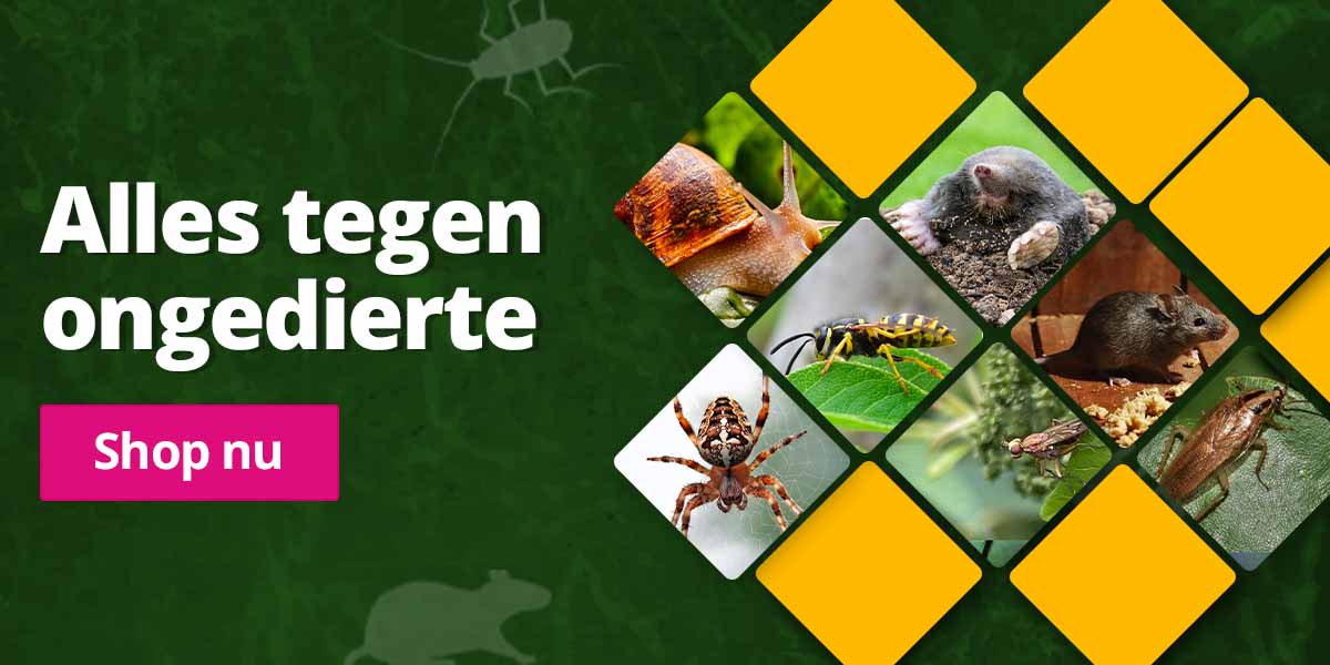 Alles tegen ongedierte