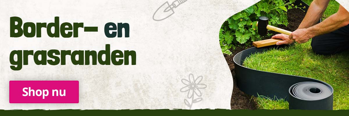 banner-border