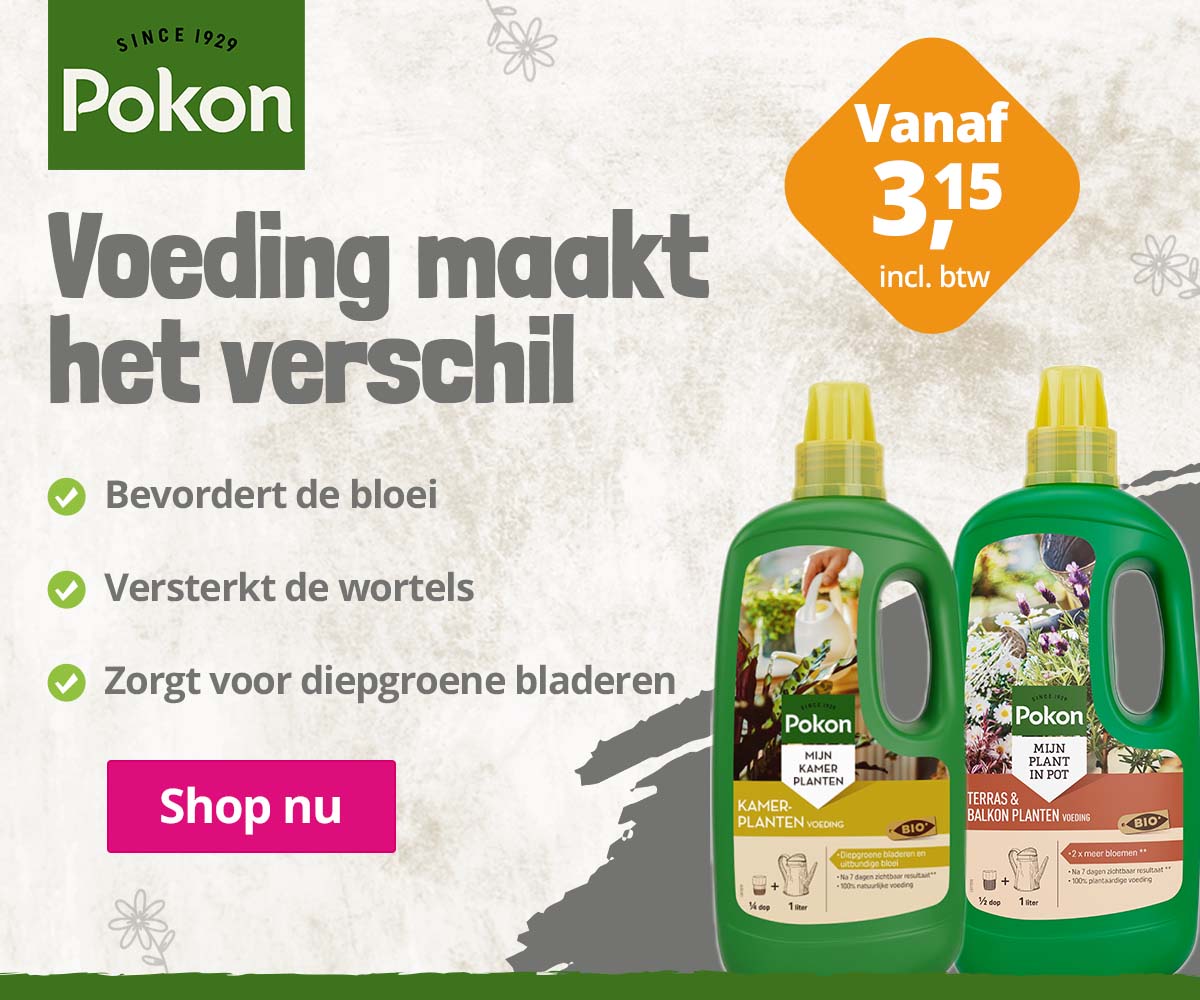 pokon-plantenvoeding