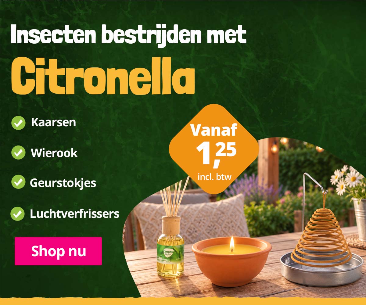 citronella-banner