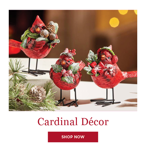 Cardinal Decor