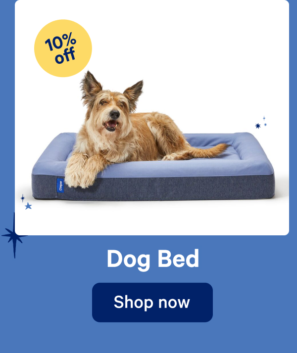 Dog Bed