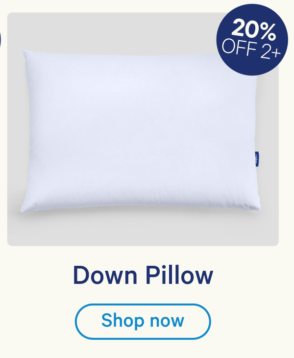 Down Pillow