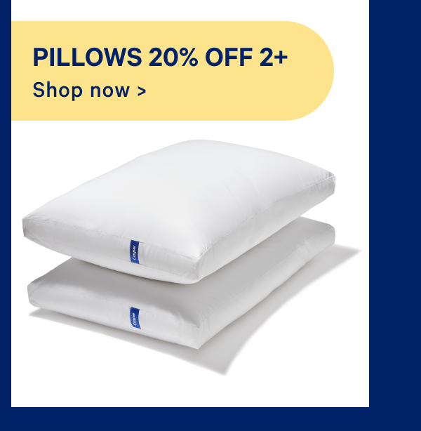 Pillows 20% off 2+