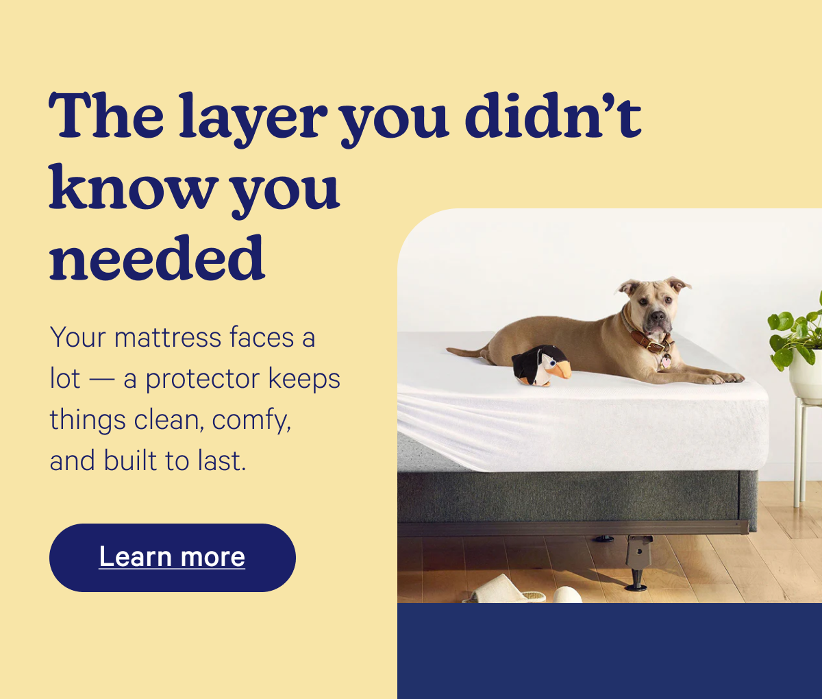 The layer you didn't know you needed; Your mattress faces a lot—a protector keeps things clean, comfy, and built to last.
