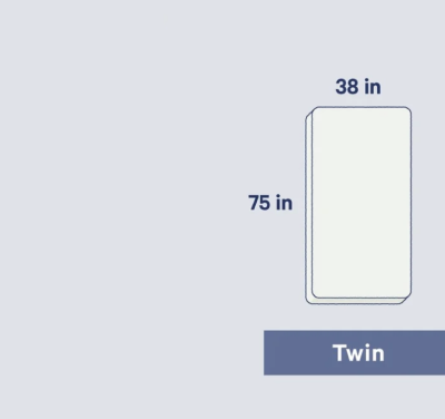 Twin