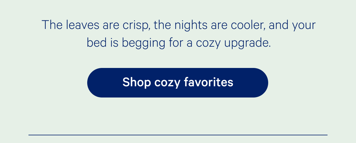 Shop Cozy Favorites