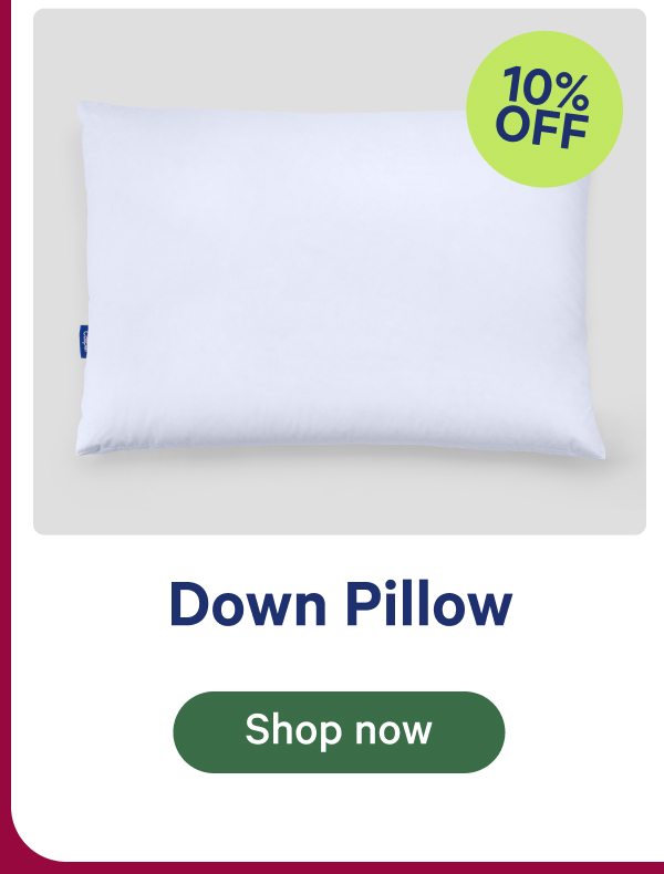 Down Pillow