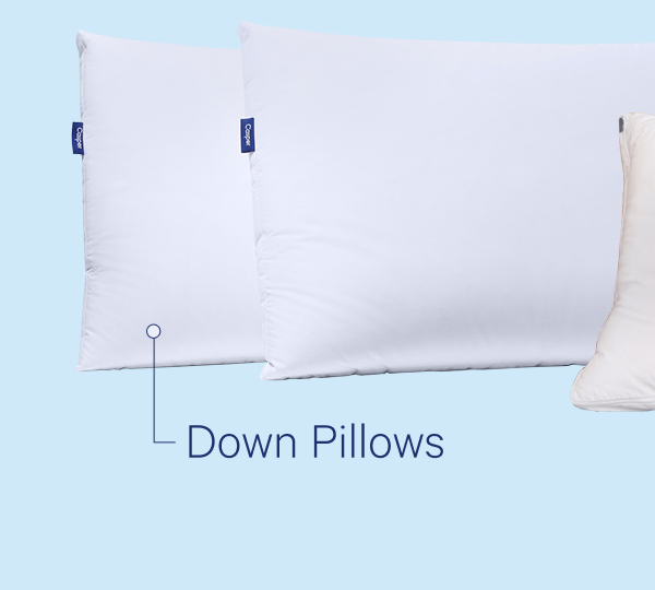 Down Pillows