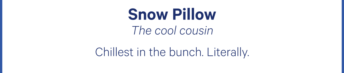 Snow Pillow; The cool cousin; Chillest in the bunch. Literally.