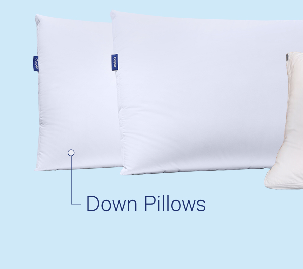 Down Pillows
