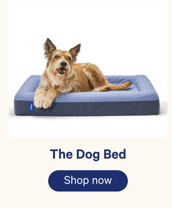 The Dog Bed