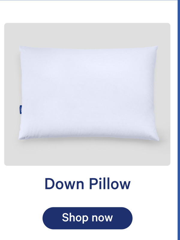 Down Pillow