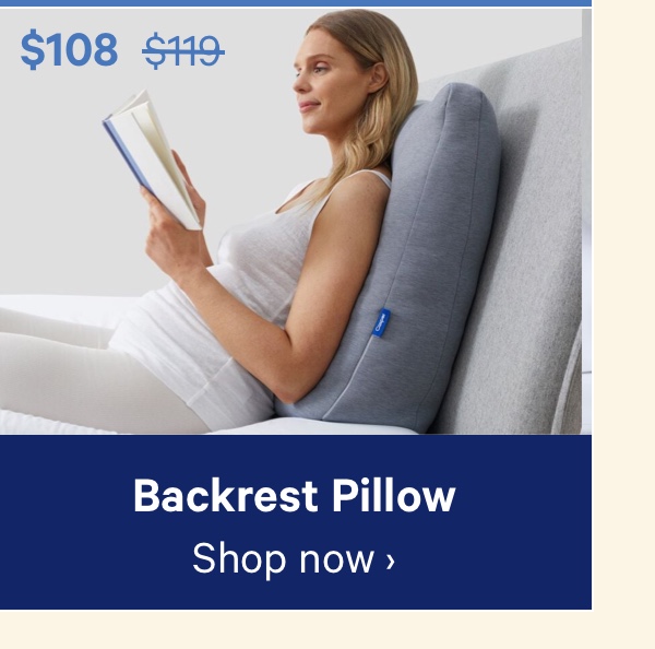 Backrest Pillow