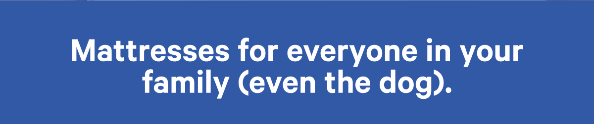 Mattresses for everyone in your family (even the dog).