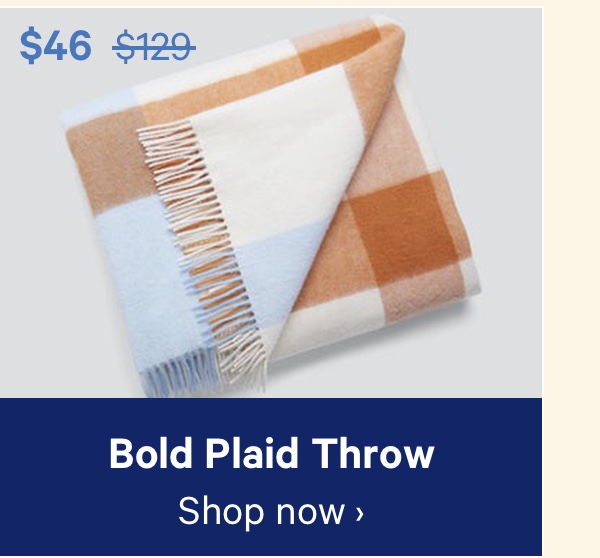 Bold Plaid Throw