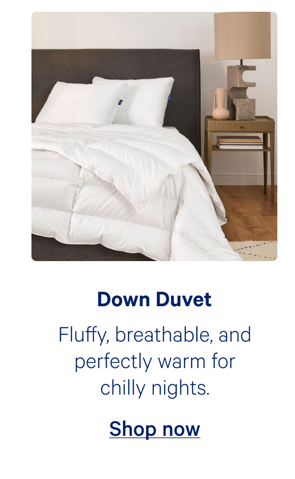 Down Duvet