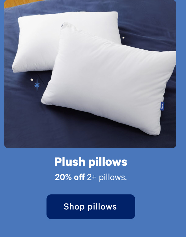 Plus pillows. 20% off 2+ pillows.