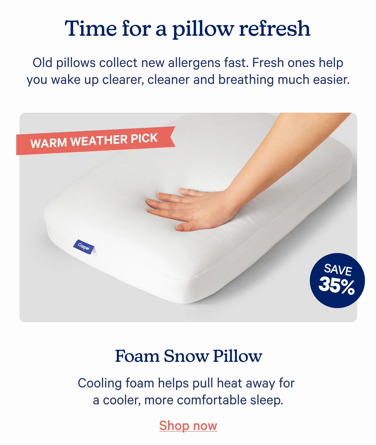 Foam Snow Pillow