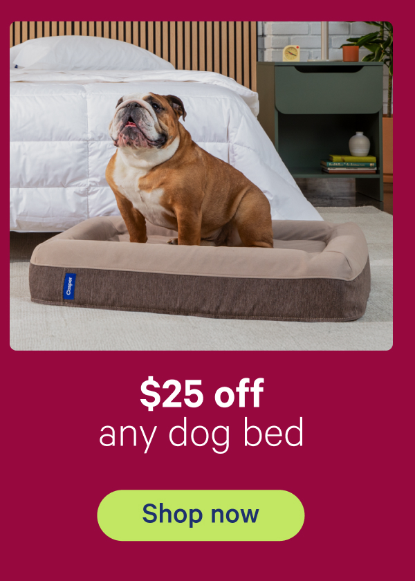 $25 off any dog bed