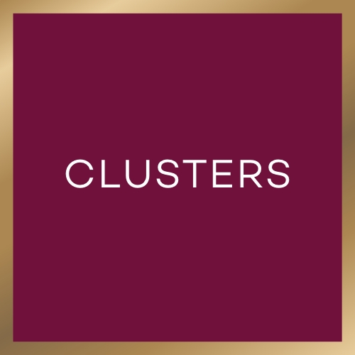 CLUSTERS