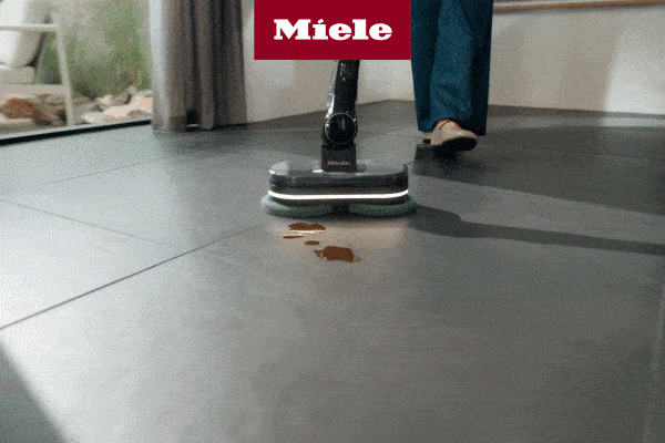 Wet & Dry entdecken