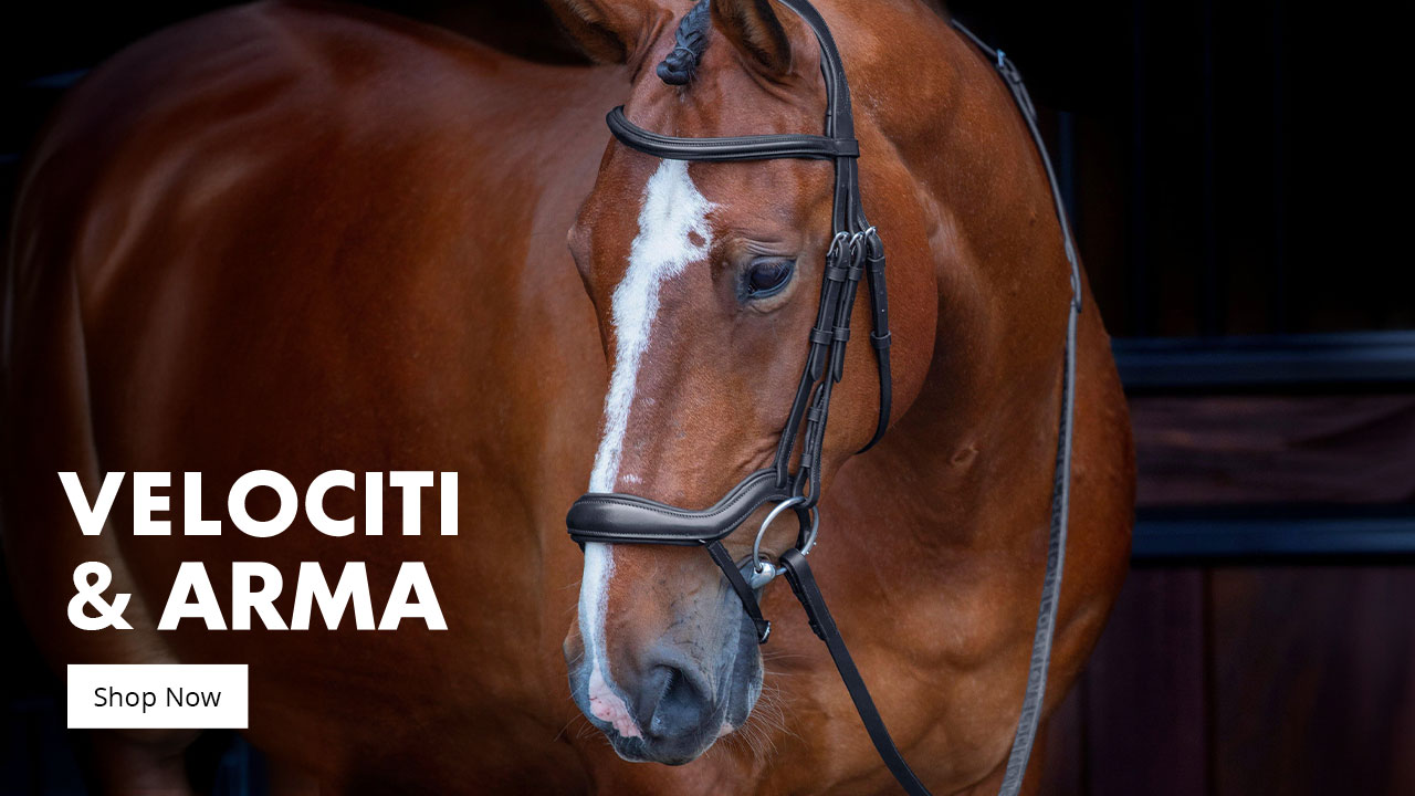Horse wearing a leather bridle standing in a stable, with “Velociti Arma” and “Shop Now” text overlay on the left.