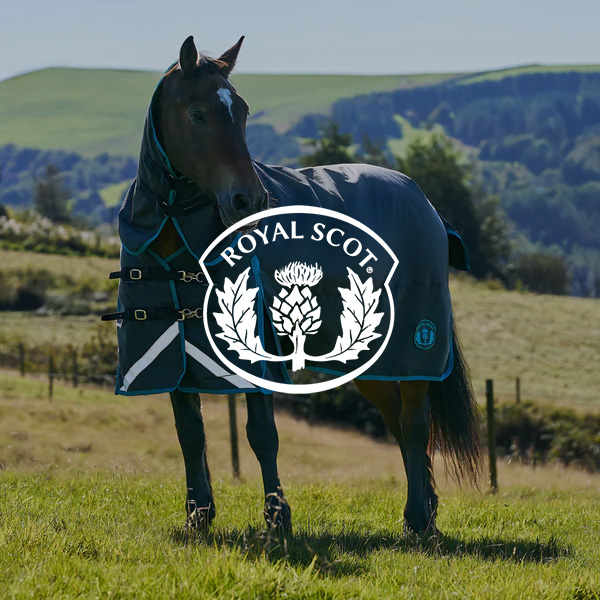 Dark-coated horse wearing a blue turnout rug standing in a grassy field with rolling hills in the background; Royal Scot logo overlaid in the centre.