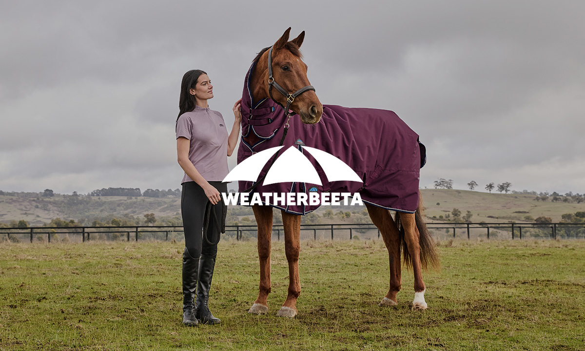 Person standing beside a chestnut horse wearing a purple rug in an open field under cloudy skies; WeatherBeeta logo overlaid prominently.
