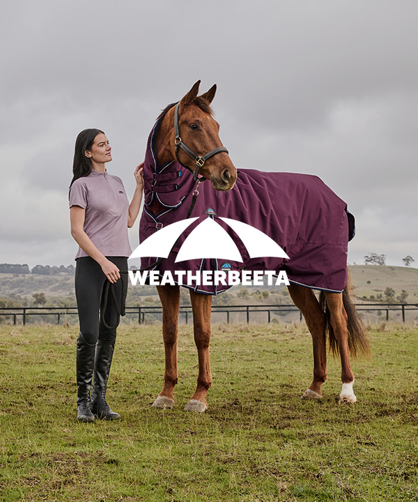 Person standing beside a chestnut horse wearing a purple rug in an open field under cloudy skies; WeatherBeeta logo overlaid prominently.